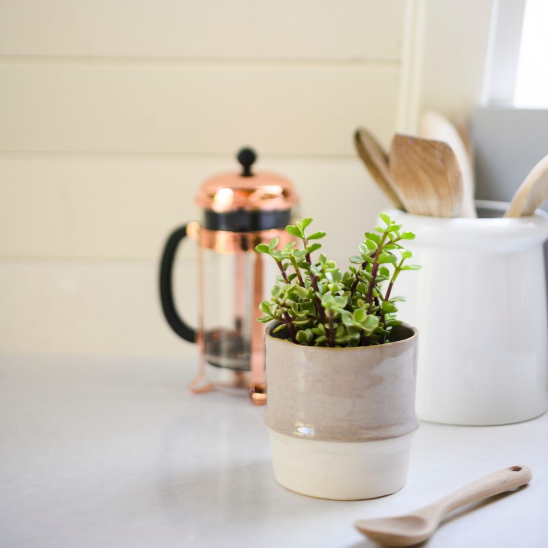 How to organize kitchen counters. Use these 6 easy tips to keep clutter off the kitchen counters